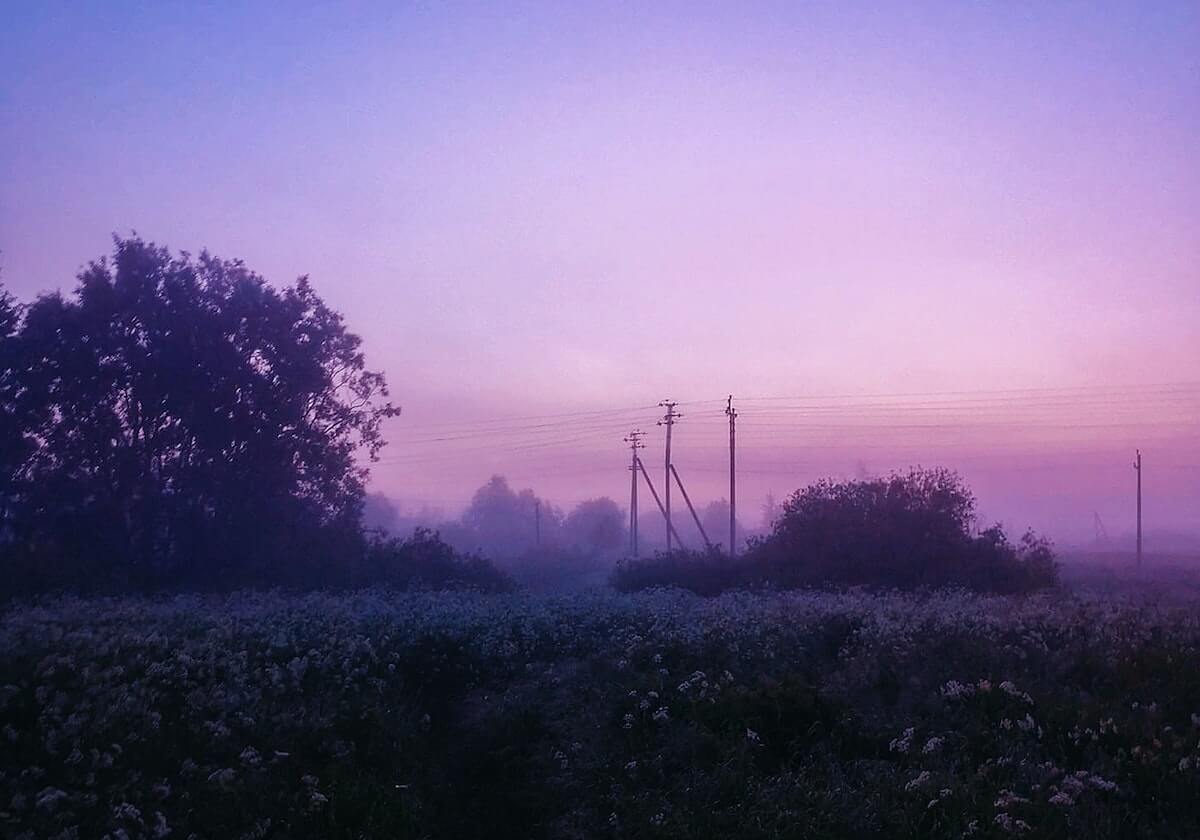 中国全站-乒乓球亚洲杯：王曼昱4-2张本美和 将与孙颖莎争冠